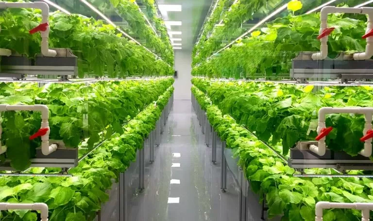 Vertical farms